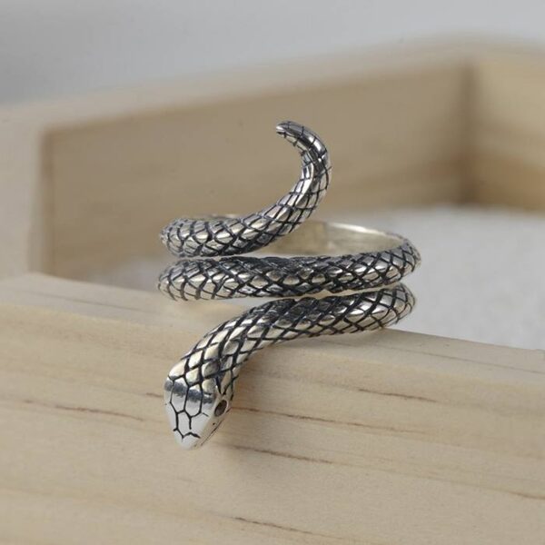 Silver Red Eyes Snake Ring