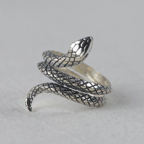 Silver Red Eyes Snake Ring