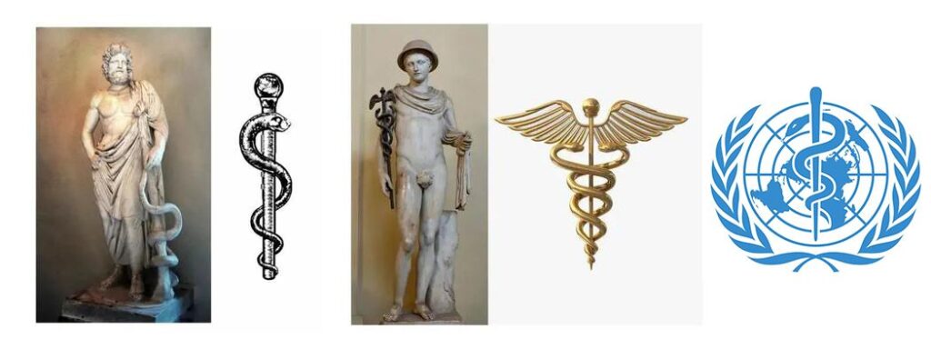 snake and medical symbol